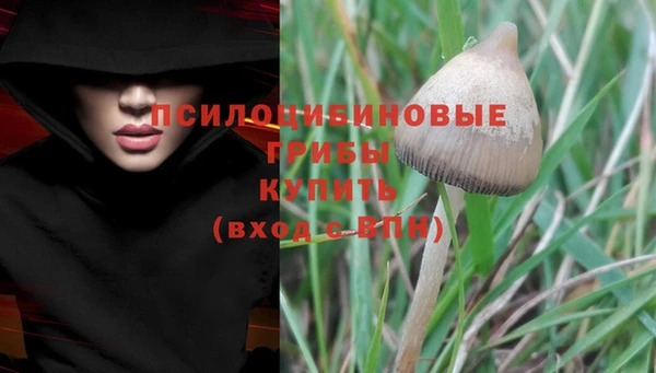 MDMA Premium VHQ Каменногорск