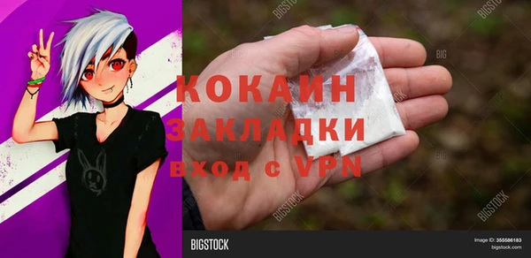 мет Каменка