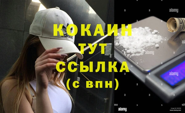 мет Каменка
