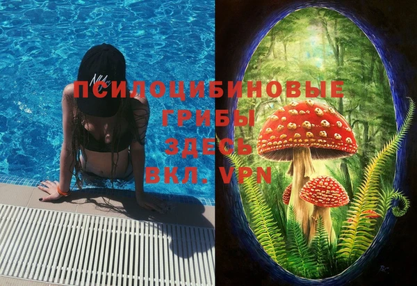 мет Каменка