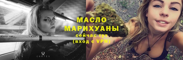 мет Каменка
